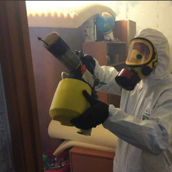 Уничтожение клопов в квартире. Улица Дыбенко